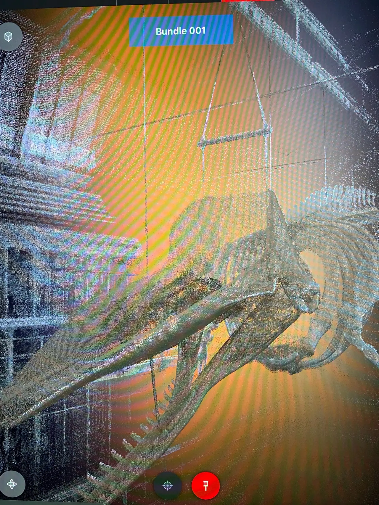 3D-Punktwolke des Blauwal-Skeletts