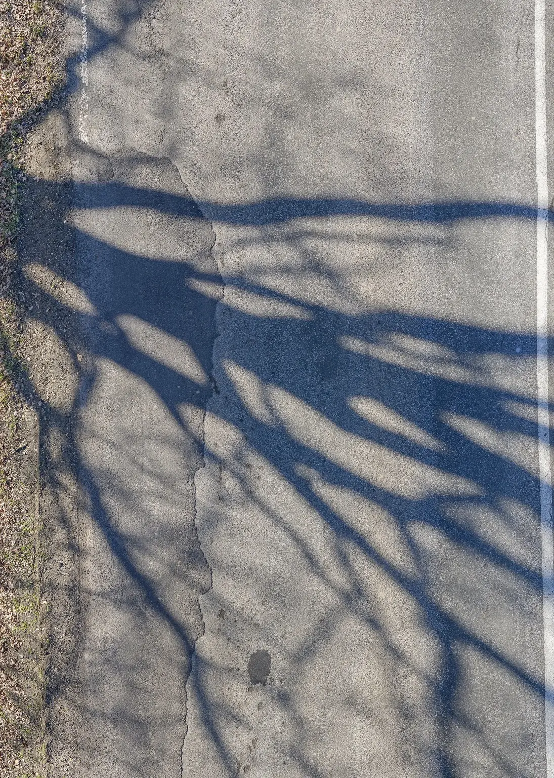 Ausschnitt einer Straßenaufnahme mit räumlich zugeordneten Oberflächendetails