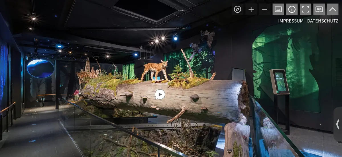 Vorher: Luchs-Exponat im Naturmuseum – statische Vitrine ohne Animation