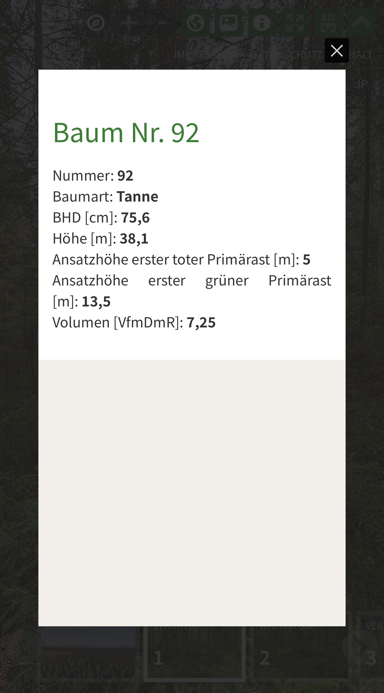 Baumdaten-Popup im virtuellen Plenterwald-Rundgang