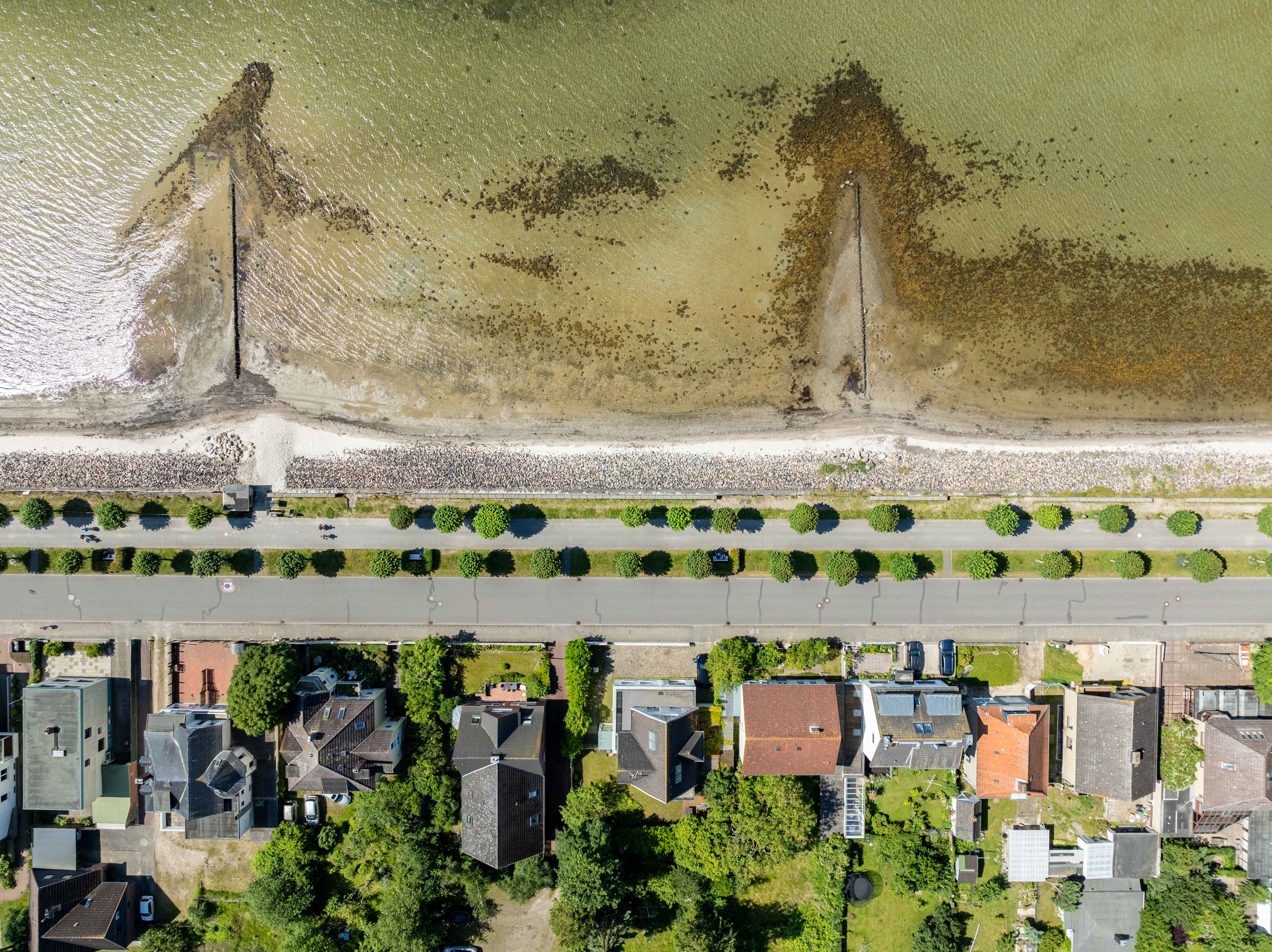 Vogelperspektive Laboe Strandpromenade von oben mit Buhnen und Allee