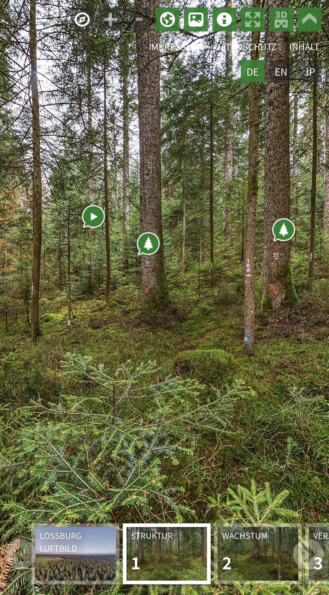 Plenterwald HFR