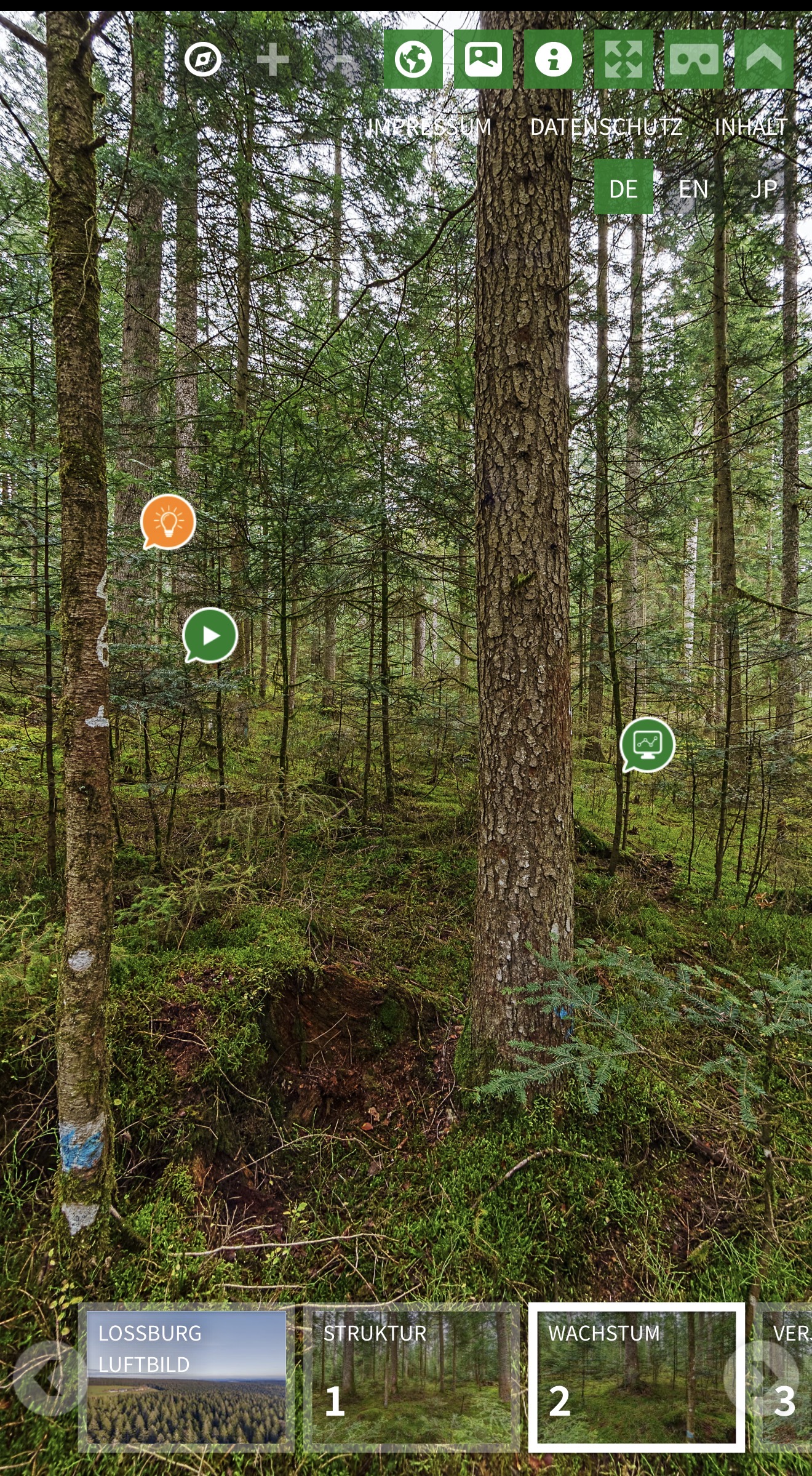 Plenterwald mit Lehr-Icons und Video-Buttons zwischen den Bäumen